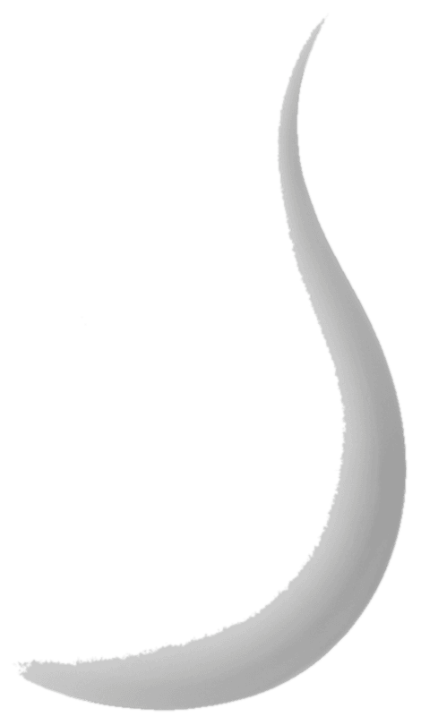 The Moisturizer texture